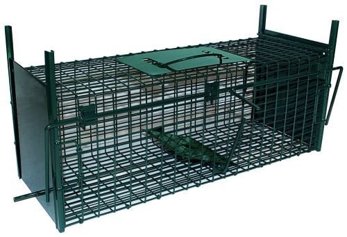 Trådfælde m/faldlem 2 indg. 53 cm - Defekt Emballage