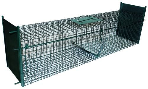 Trådfælde m/Faldlem 2 Indg. 103cm FRAGTSKADE