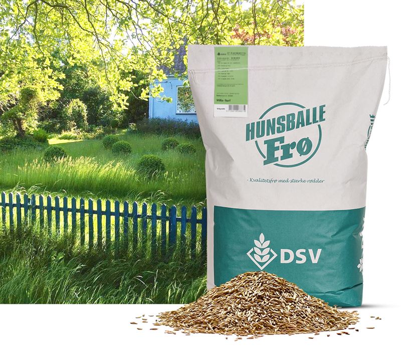 Nøjsom Svingel-Blanding, 10 kg