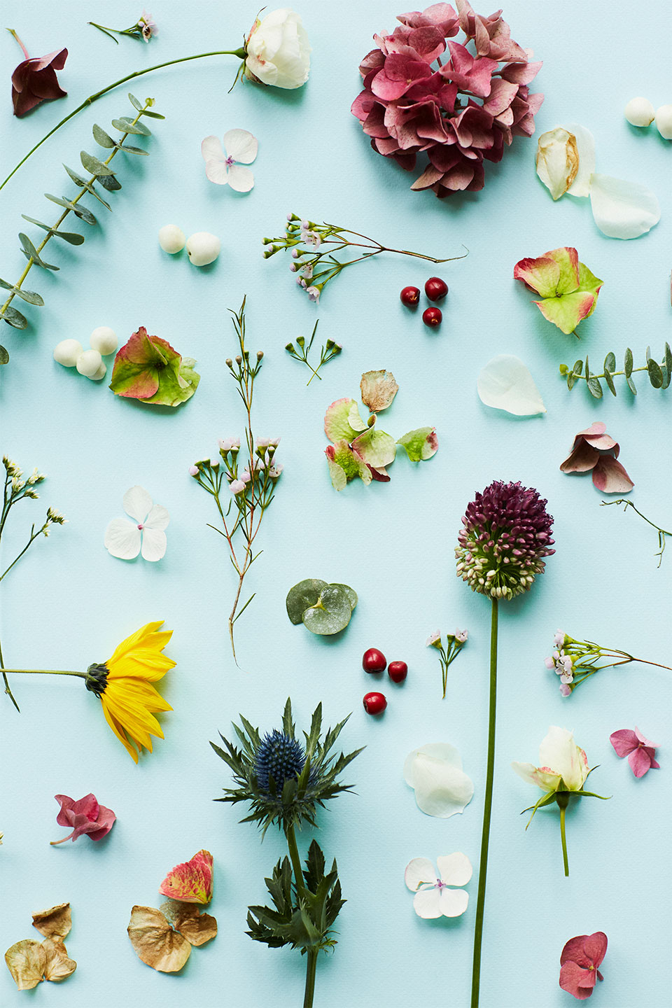 Blue Flower af Camilla Schmidt