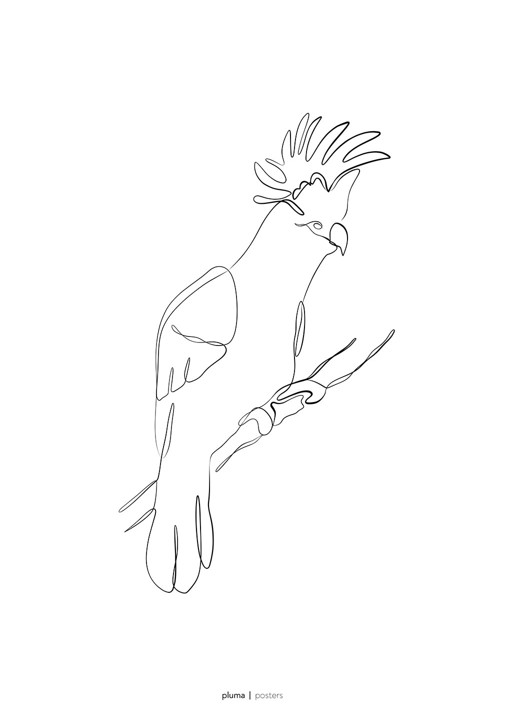 Kakadu af Pluma Posters
