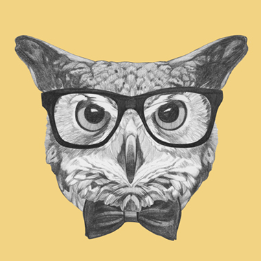 Ordinary Owl af Illux