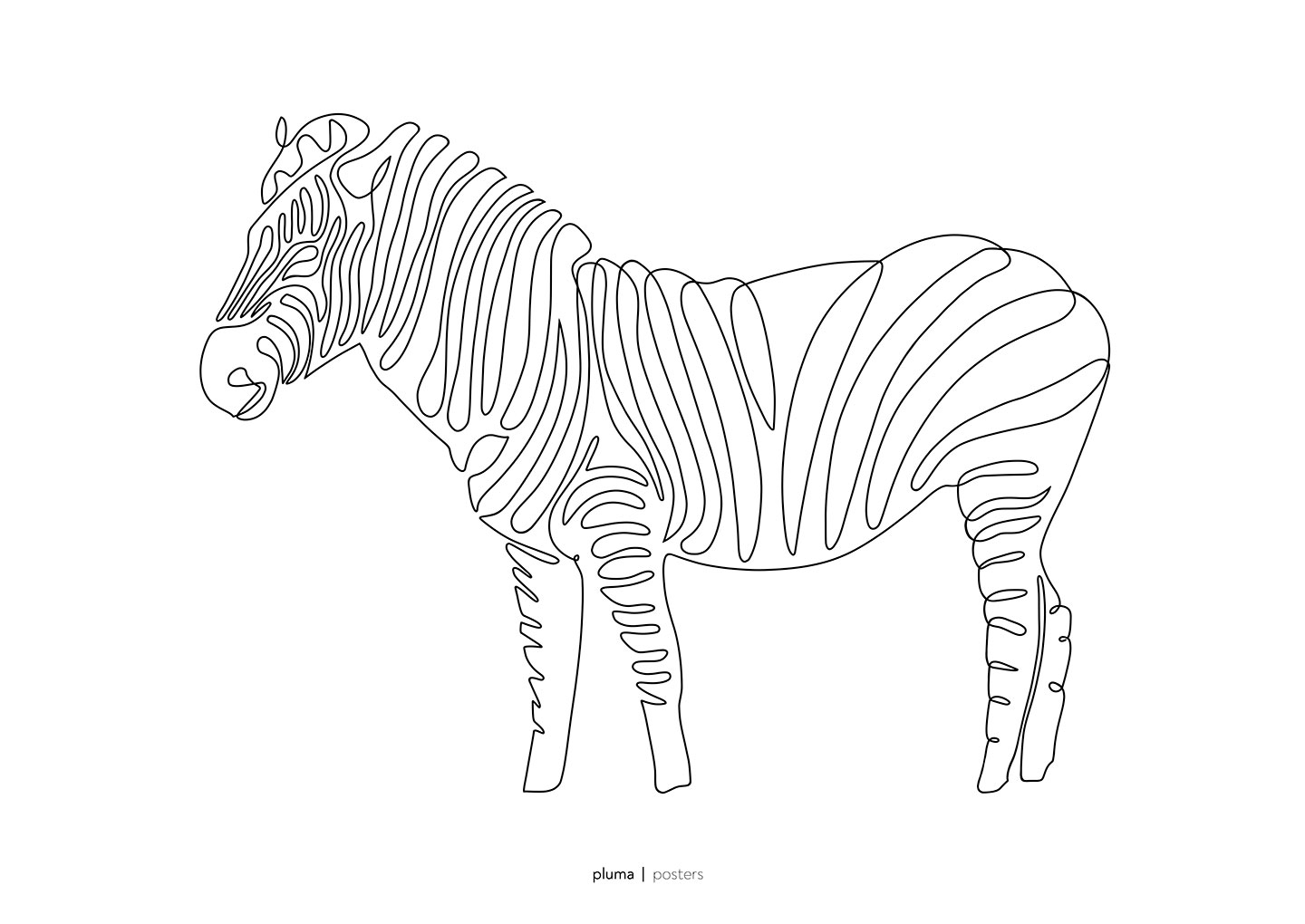 Zebra af Pluma Posters