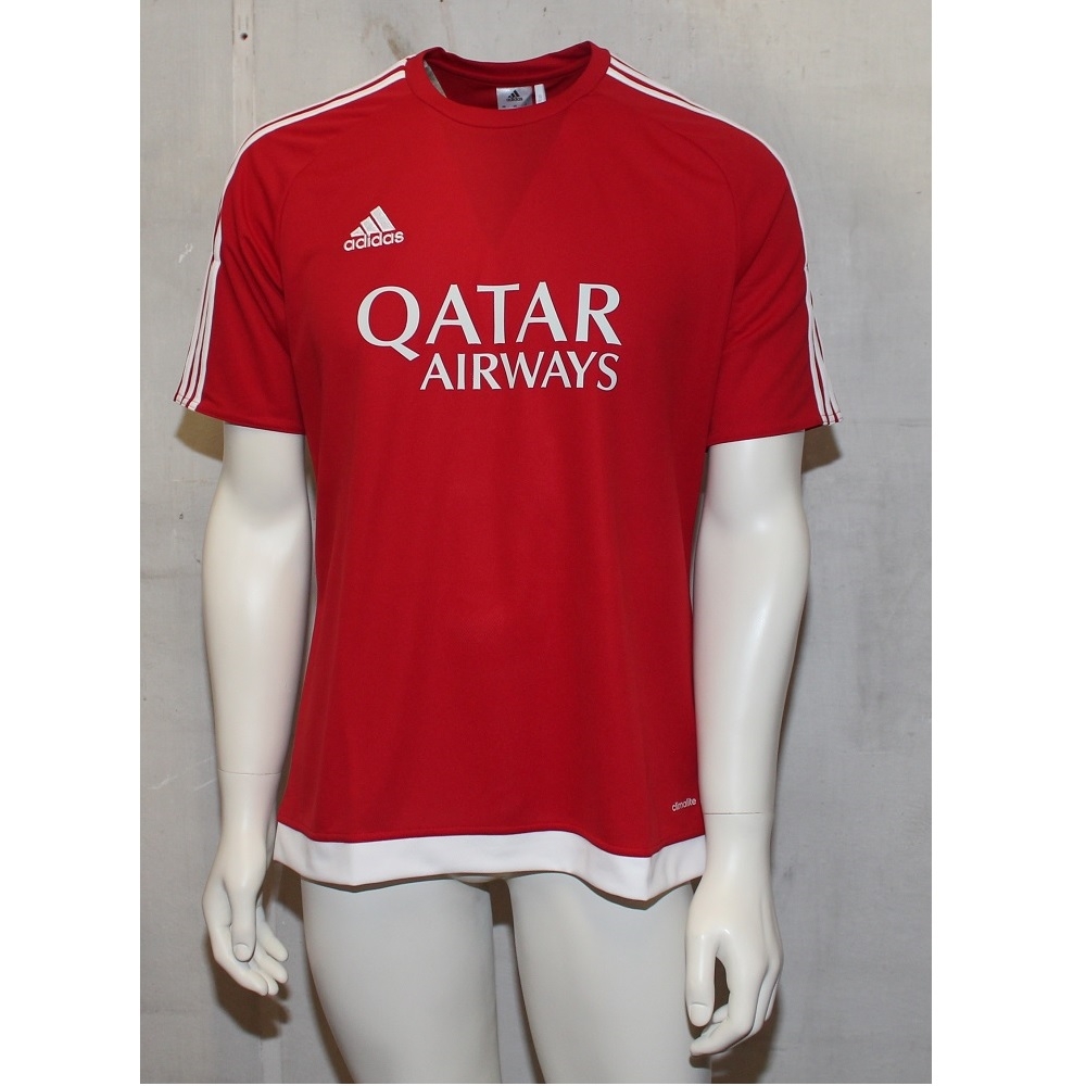 Estro teamsport jersey - Qatar Airways-L