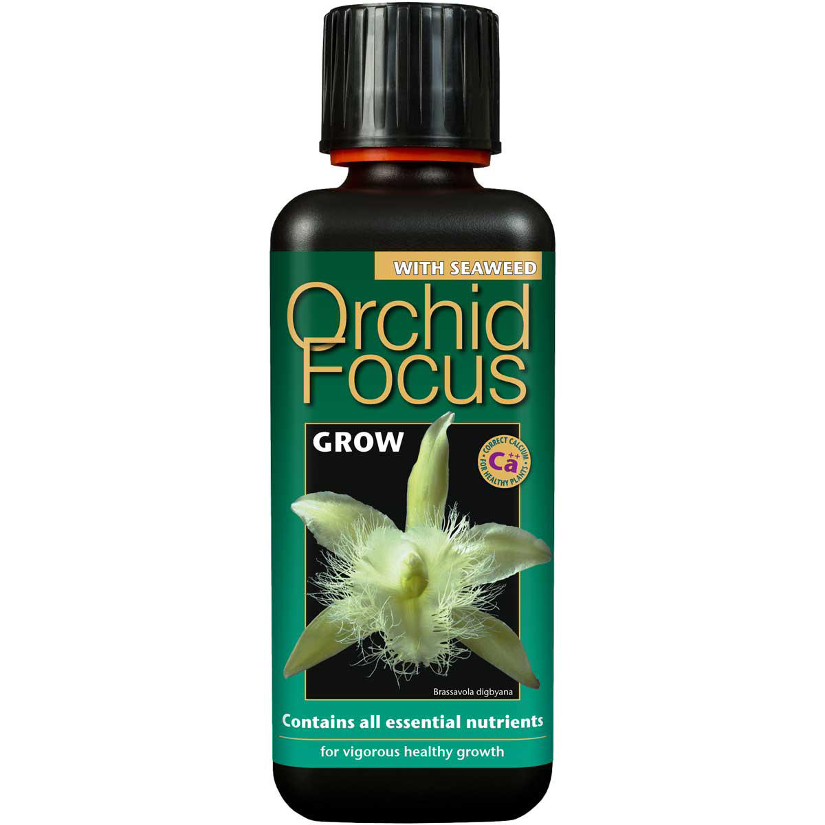 Orkide Focus Grow 300mL