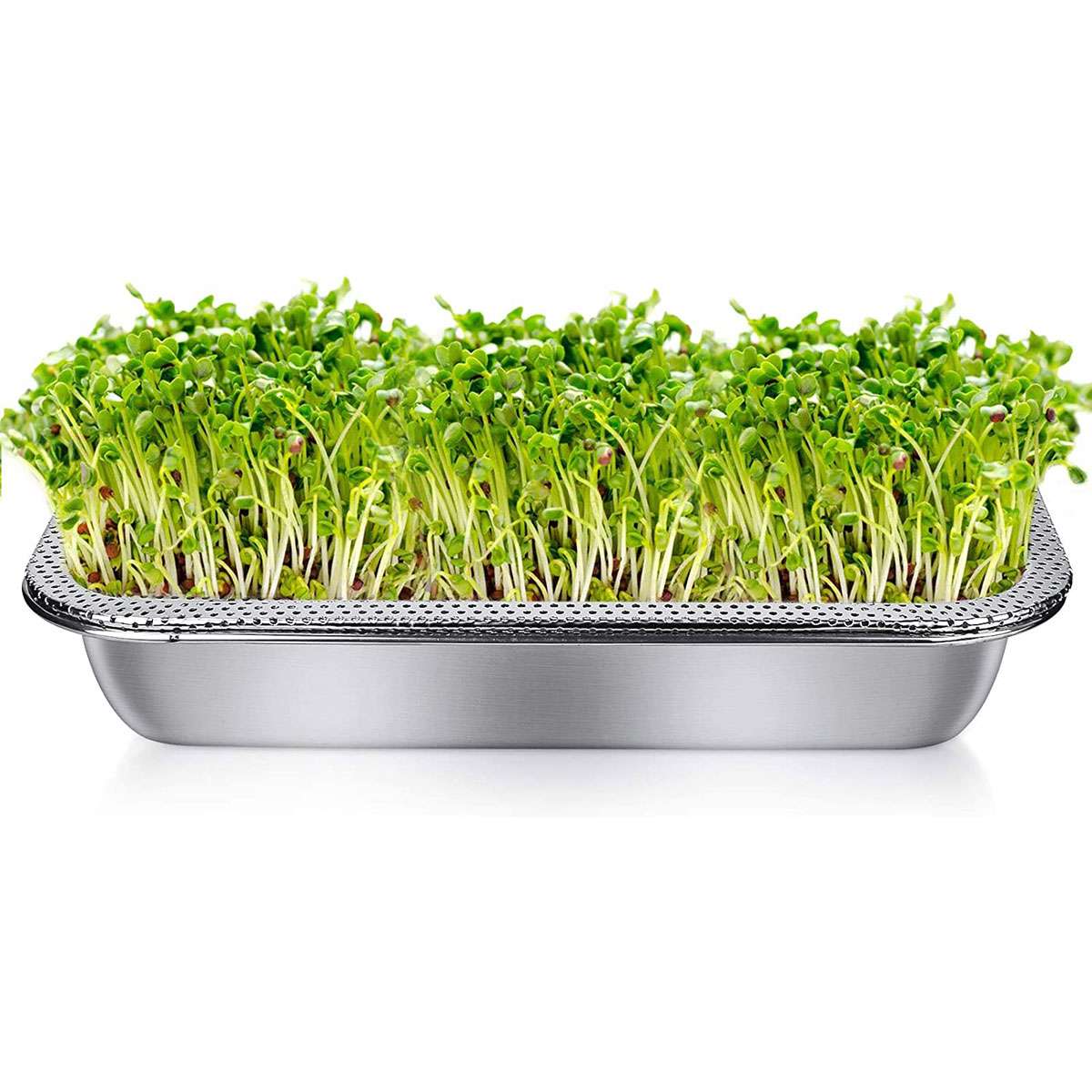 Microgreens spirebakke, rustfrit stål, 22x32cm