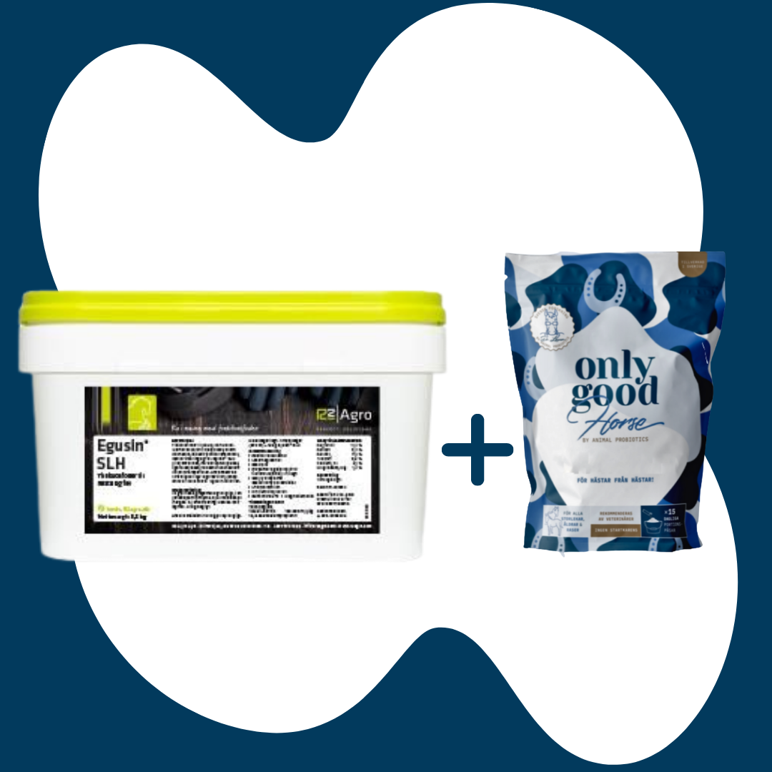 Kombipakke Egusin SLH & OnlyGoodHorse - Egusin SLH & 2 small pakker OnlyGoodHorse